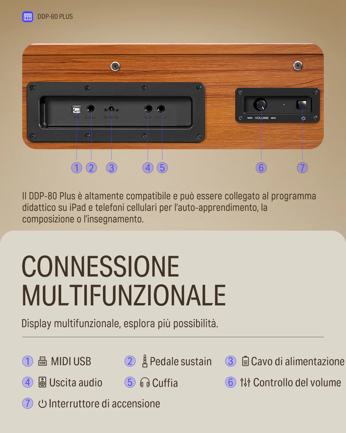 Miniatura 15