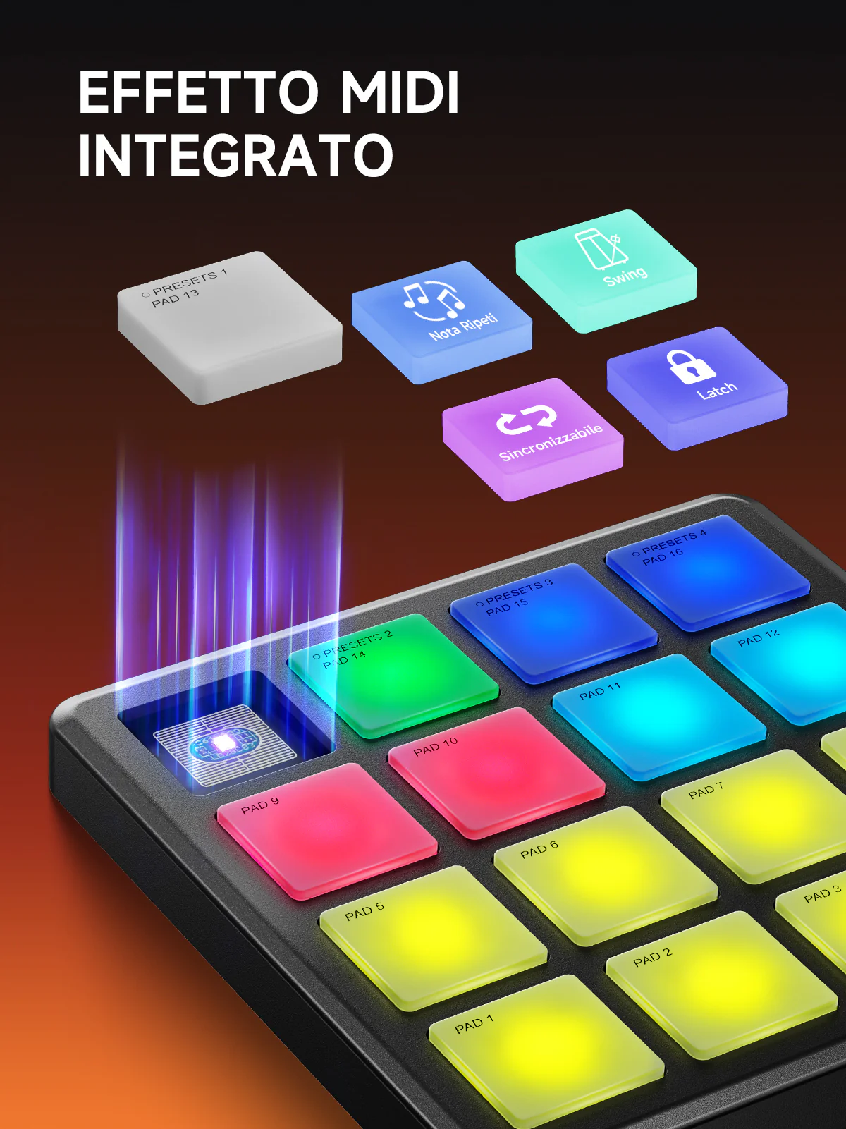 Miniatura 6